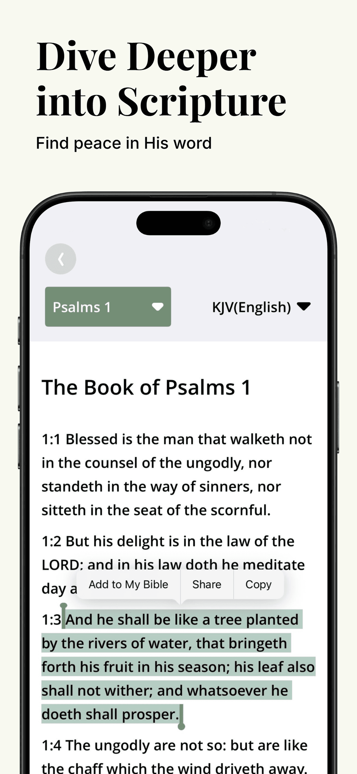 RaiseMe Bible reading screen showing Psalms chapter 1